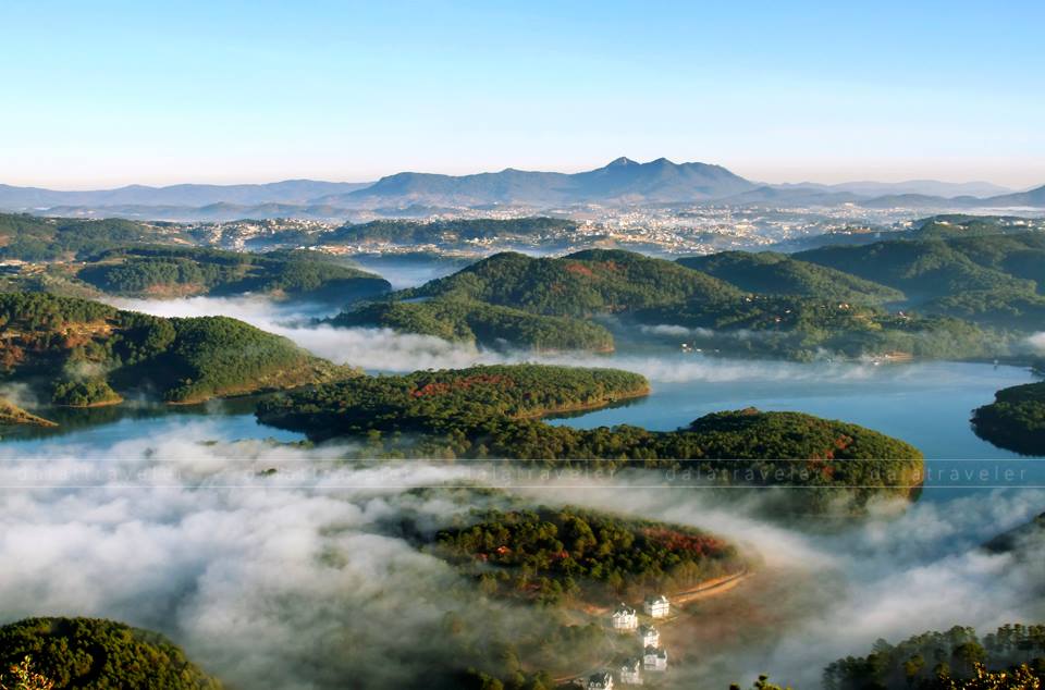 Bên kia sông_ (forget me not dalat)