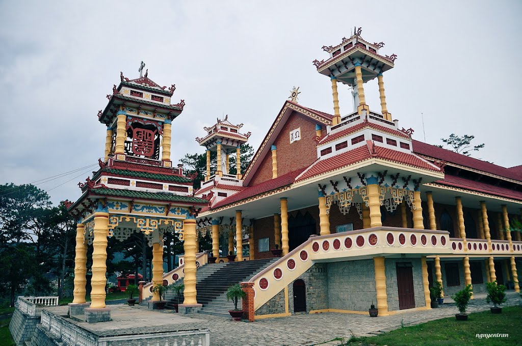 Nhà thờ du sinh