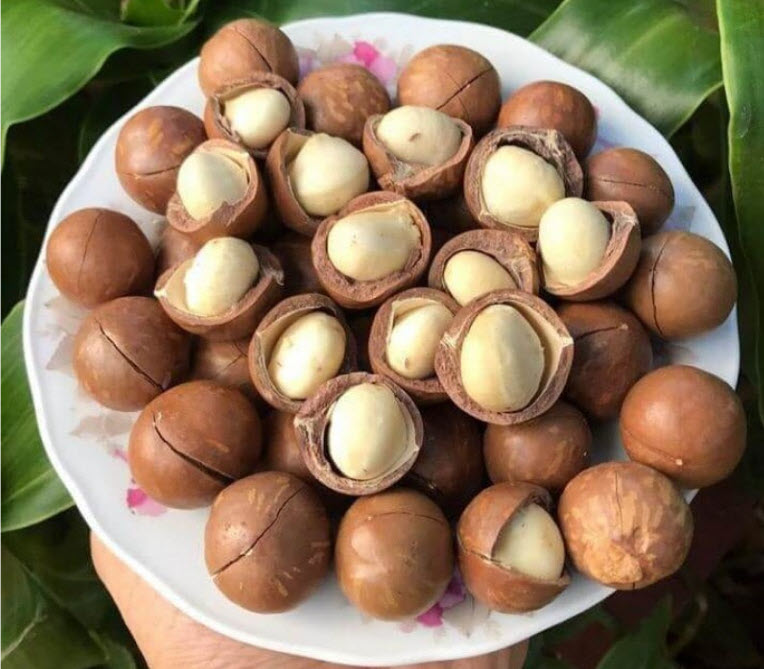 Hạt mắc ca Lâm Đồng túi 500G